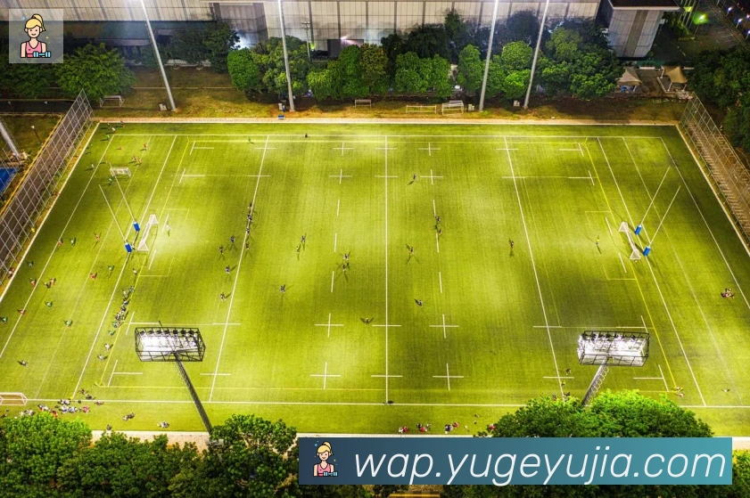 爱游戏ayxAPP 高清赛事图