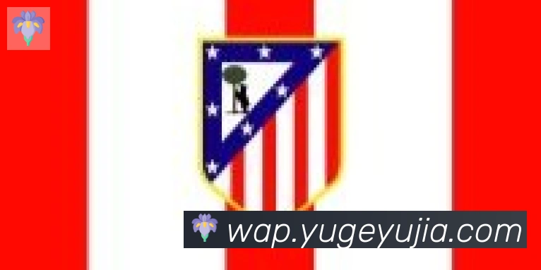 爱游戏ayx合作伙伴